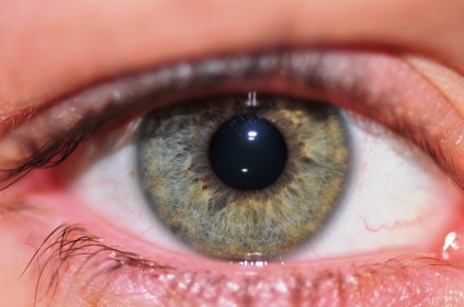 DSC_0974_6450_Akenji