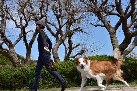 LNA_4854_5954_akenji_01